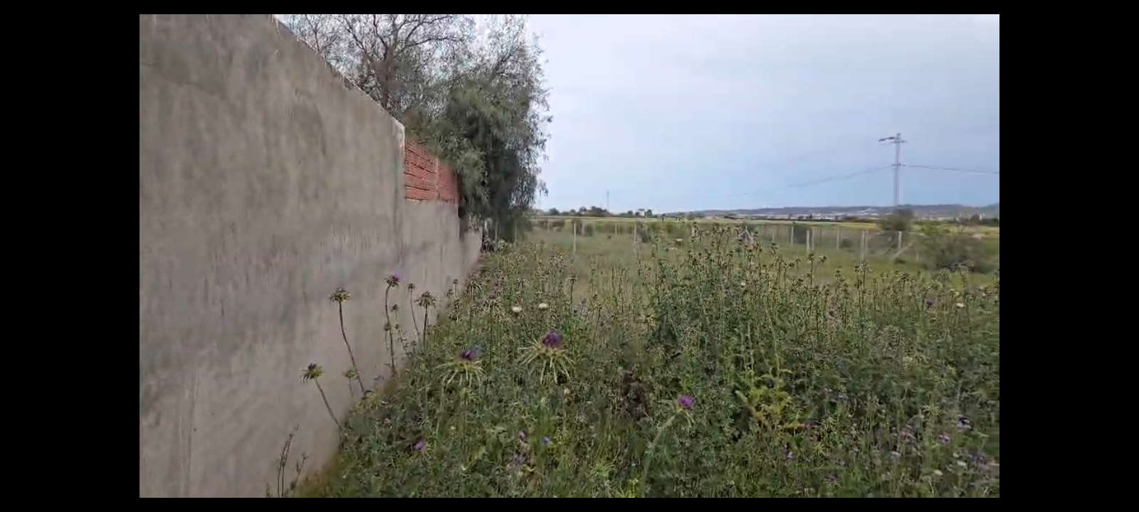 Sidi Thabet&nbsp;Cebalet Ben Ammar&nbsp;Terrain&nbsp;Terrain nu&nbsp;Un beau terrain situ� � sidi younes