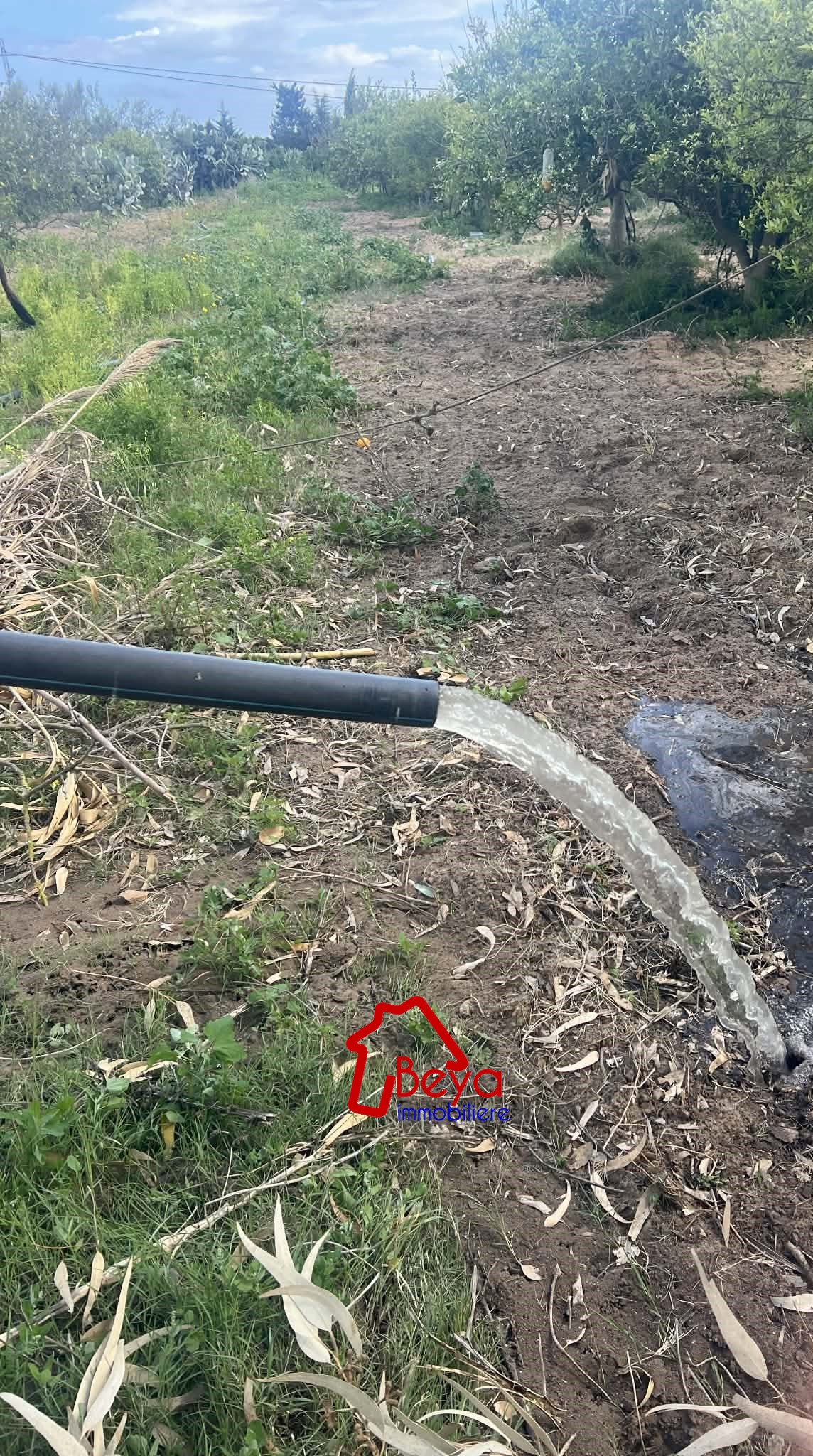 Korba&nbsp;Tazarka&nbsp;Terrain&nbsp;Terrain agricole&nbsp;Hectare avec sondage vta017