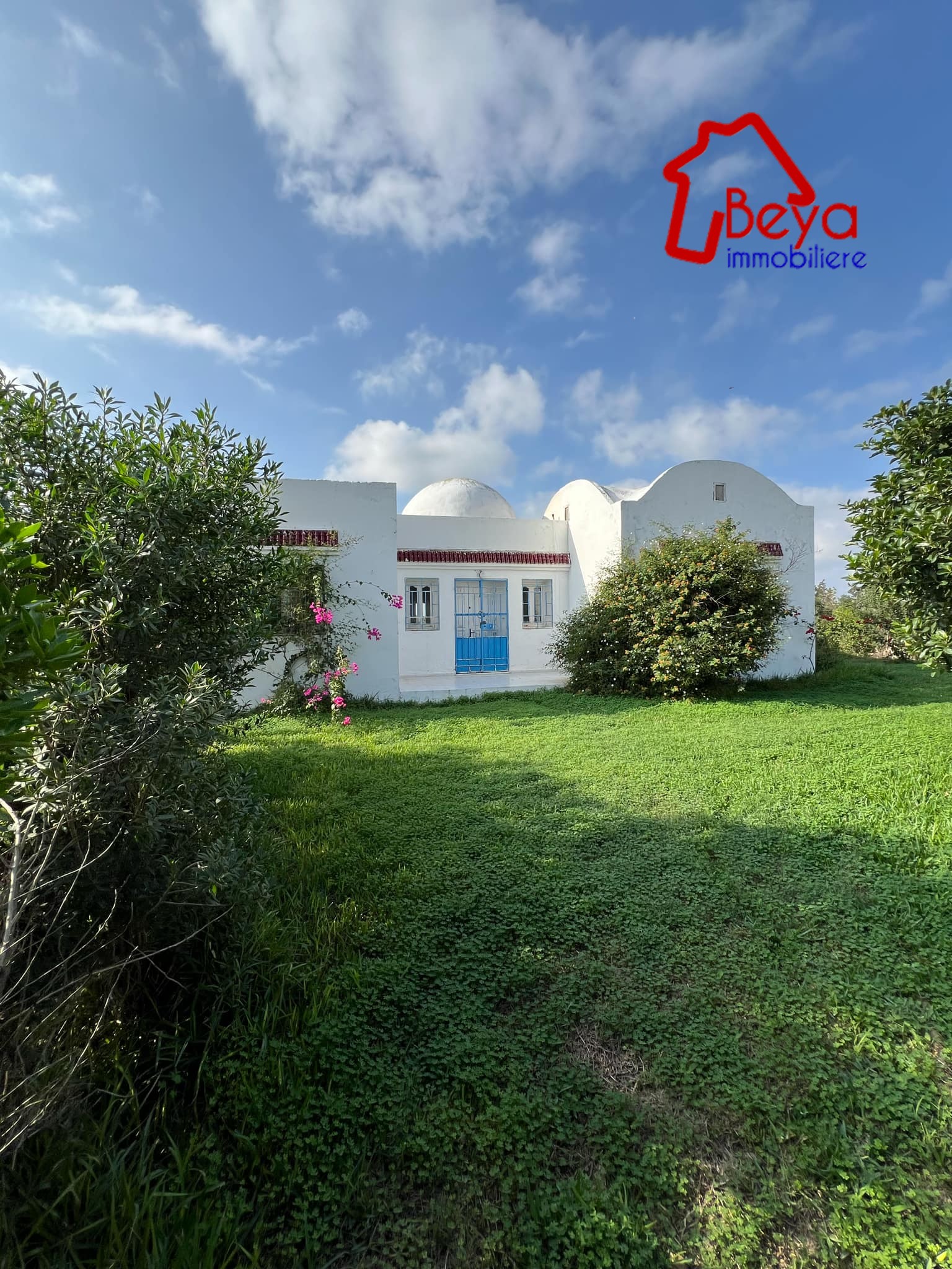 Korba&nbsp;Bou Jerida&nbsp;Terrain&nbsp;Terrain agricole&nbsp;Terrain vicoria vtn080