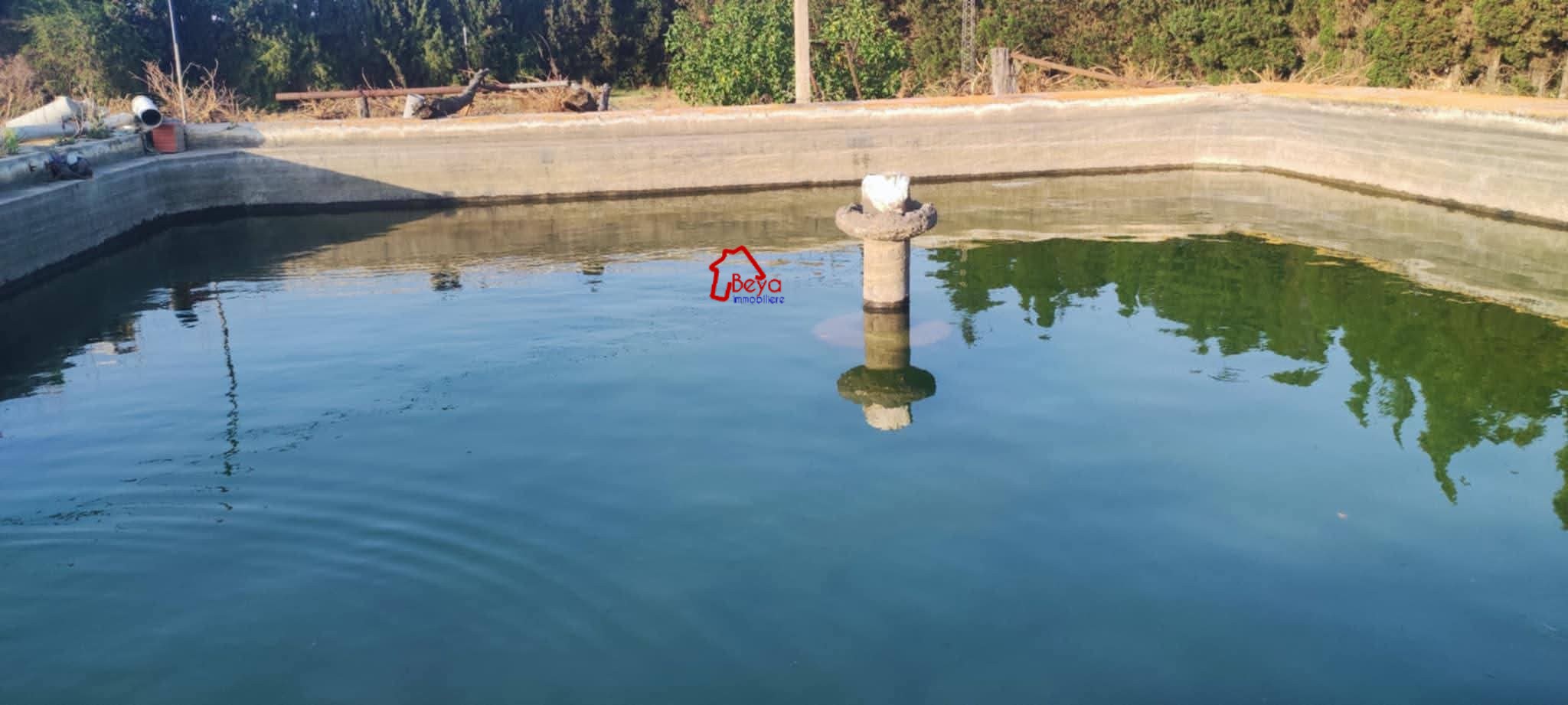 Beni Khalled&nbsp;Beni Khalled&nbsp;Terrain&nbsp;Terrain agricole&nbsp;Terrain fayza vta020