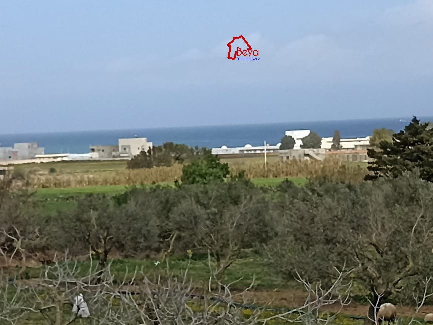 Kelibia&nbsp;Kerkouane&nbsp;Terrain&nbsp;Terrain nu&nbsp;Terrain boska vth027