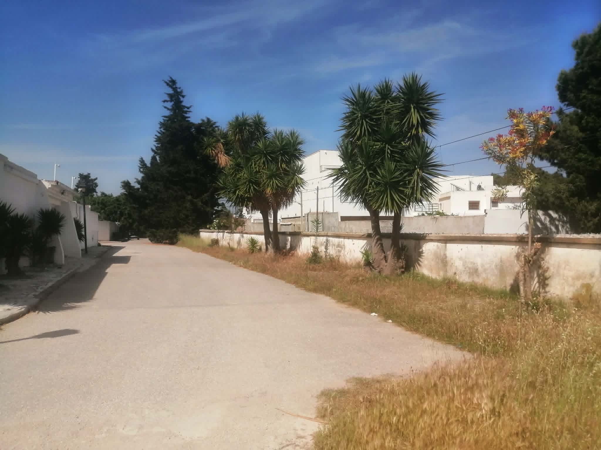 Carthage&nbsp;Cartage Byrsa&nbsp;Vente&nbsp;Surfaces&nbsp;Terrain a  carthage byrsa