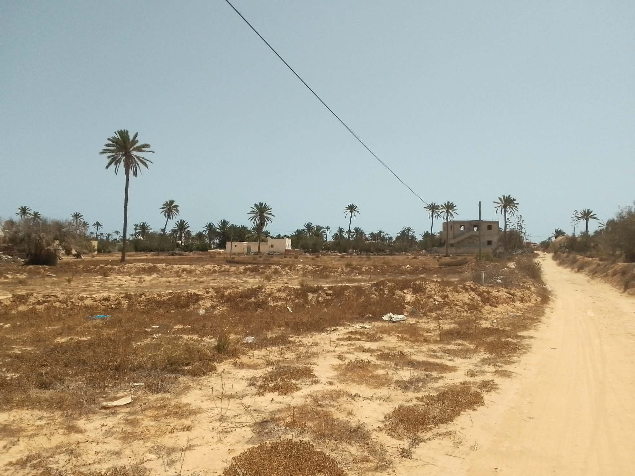 Djerba - Midoun&nbsp;Midoun&nbsp;Vente&nbsp;Surfaces&nbsp;Tr�s jolie lot de terrain nu a jerba midoun
