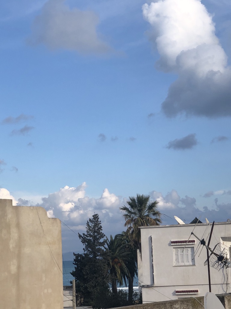 El Kram&nbsp;Le Kram Ouest&nbsp;Vente&nbsp;Appart. 3 pi�ces&nbsp;Maison s3 avec studio ind�pendant au kram