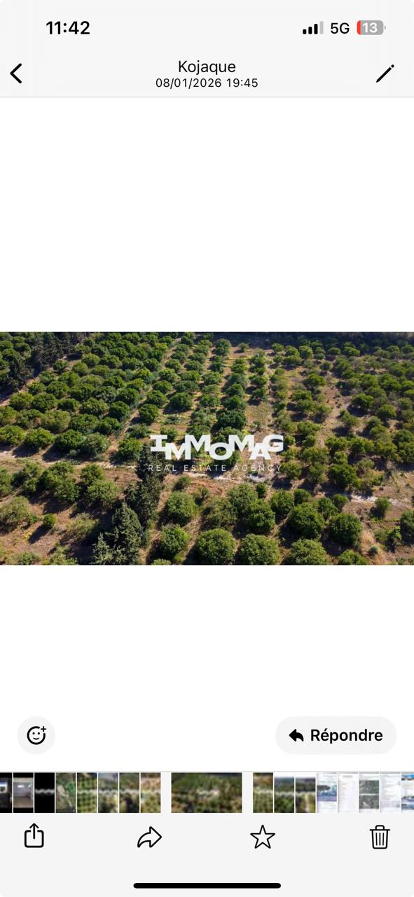Soliman&nbsp;Soliman&nbsp;Terrain&nbsp;Terrain agricole&nbsp;Ferme soliman