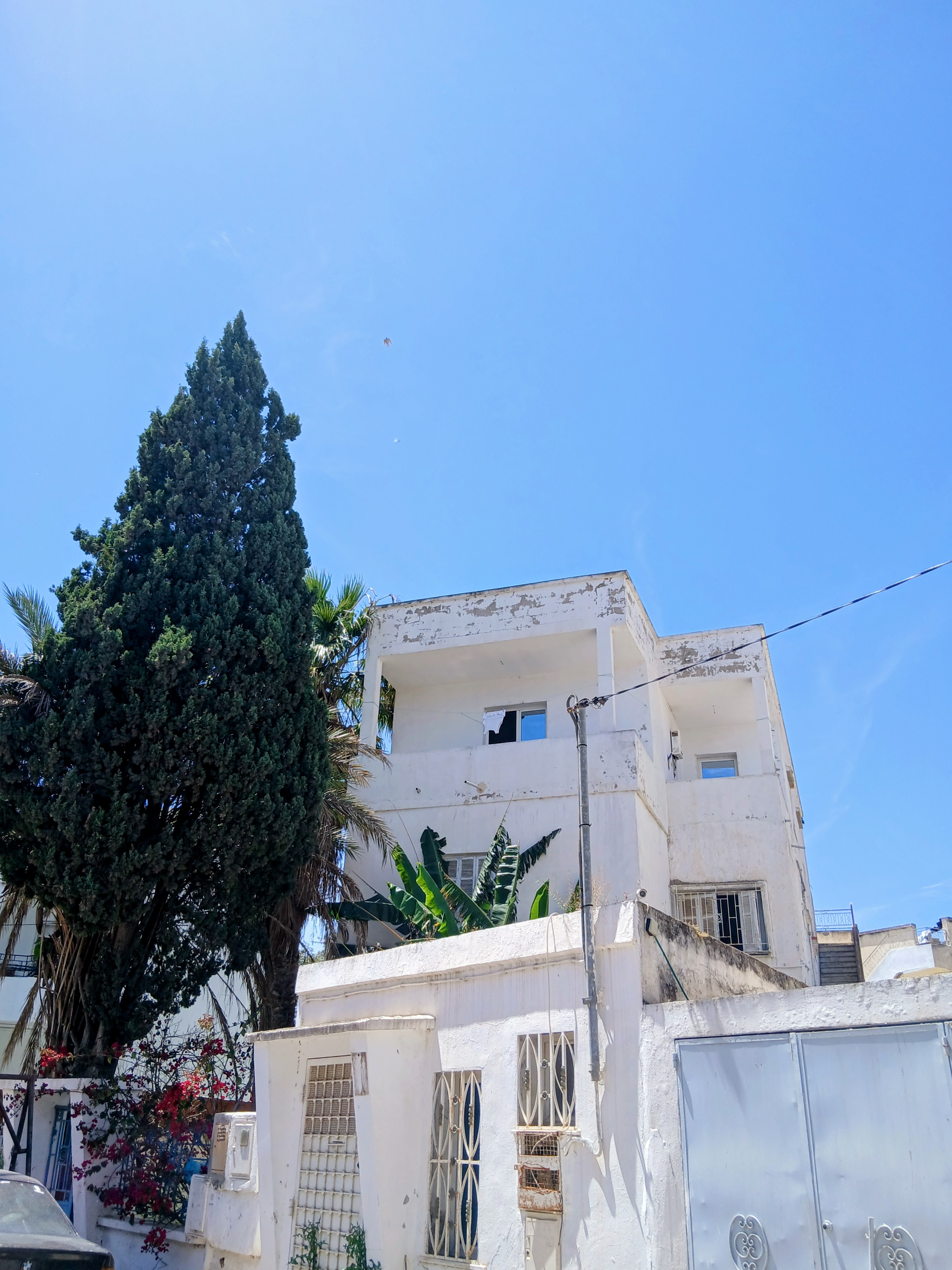 Le Bardo&nbsp;Bouchoucha&nbsp;Vente&nbsp;Appart. 5 pi�ces+&nbsp;Appartement s 5 � cit� bouchoucha