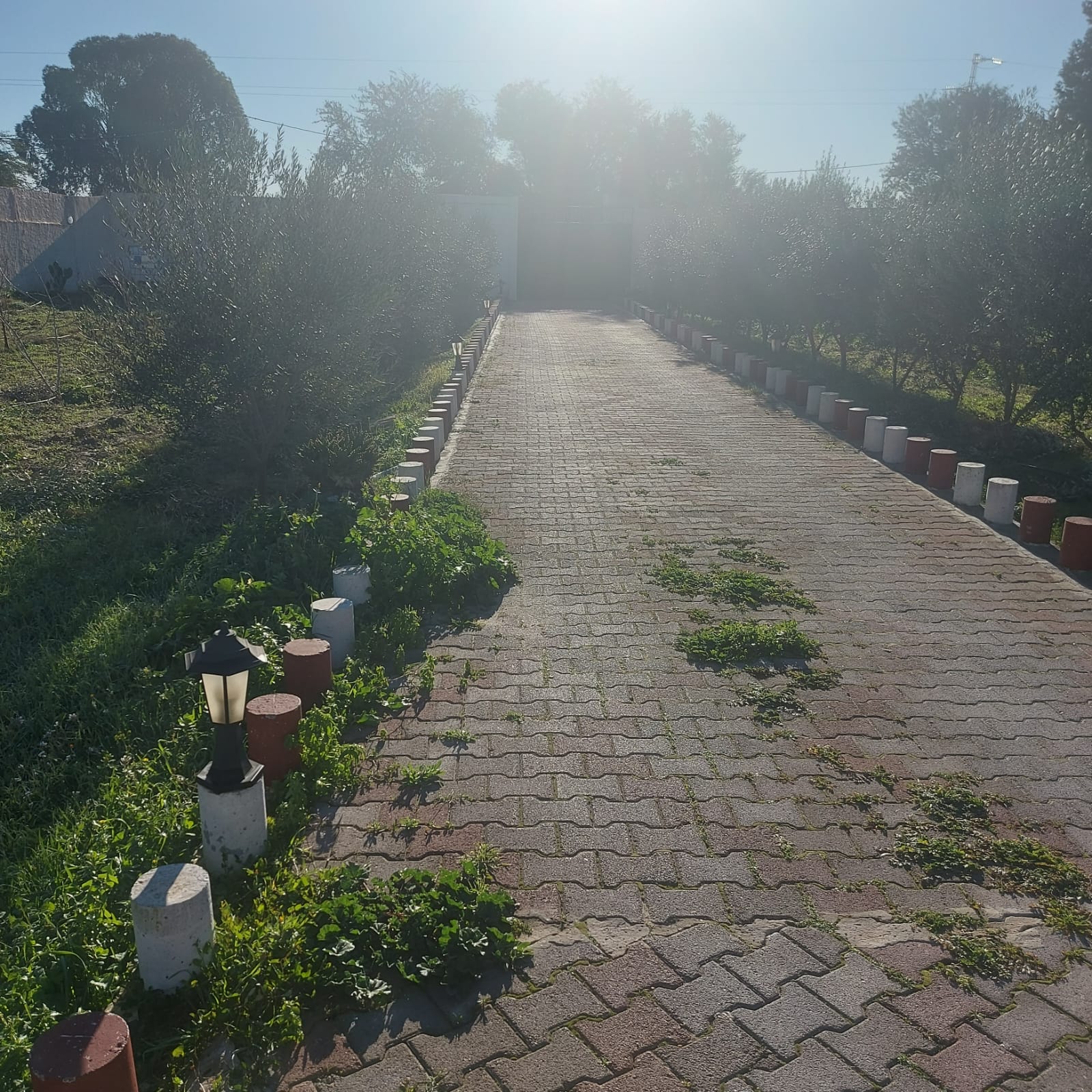 Zaghouan&nbsp;Zaghouan&nbsp;Vente&nbsp;Maisons&nbsp;Tres belle villa s 5 sur 3000 m