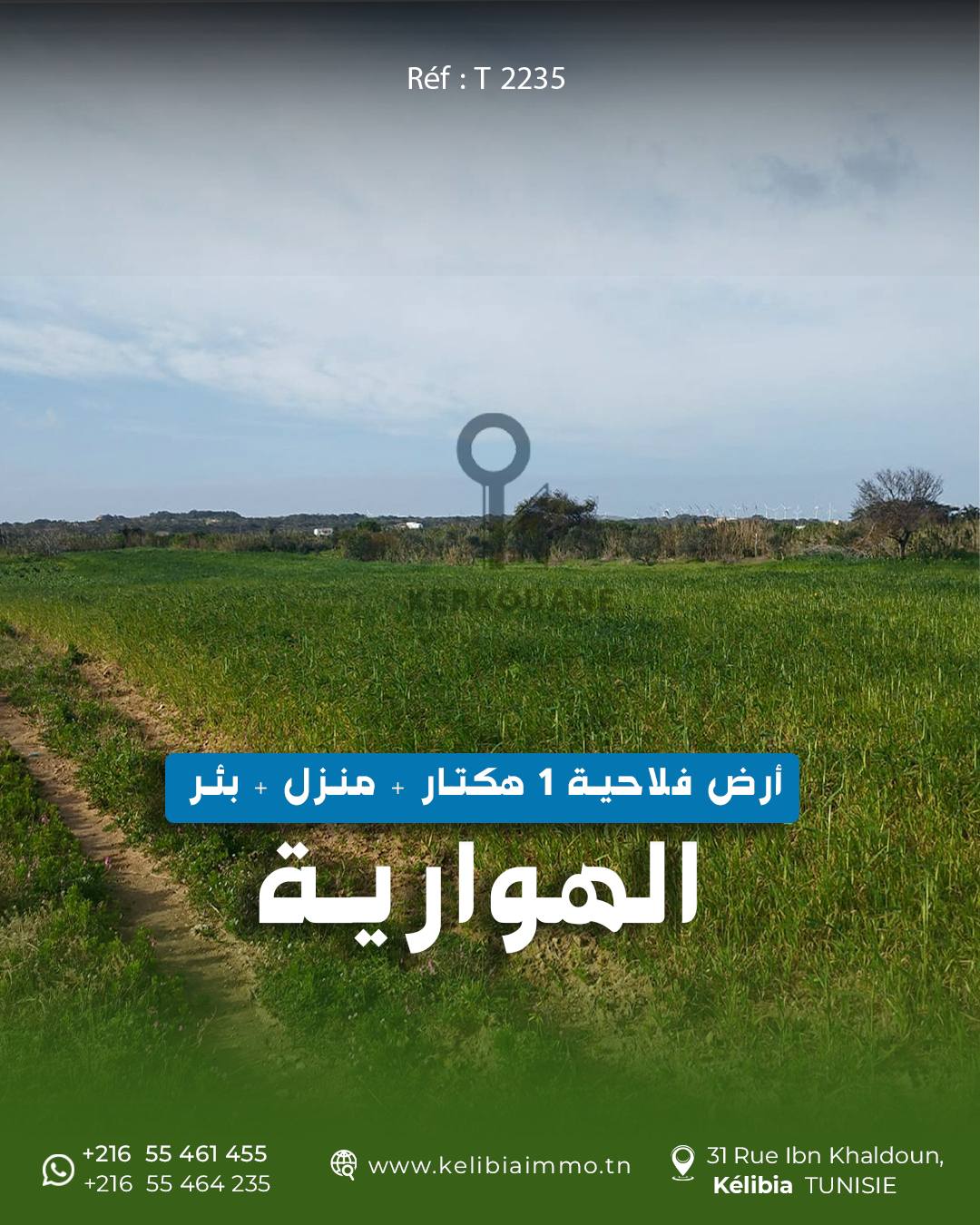 El Haouaria&nbsp;El Haouaria&nbsp;Terrain&nbsp;Terrain agricole&nbsp;Terrain d'un hectare  � el haouaria