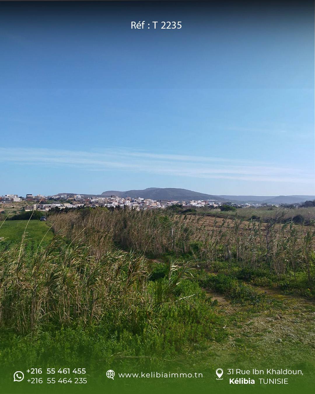 El Haouaria&nbsp;El Haouaria&nbsp;Terrain&nbsp;Terrain agricole&nbsp;Terrain d'un hectare  � el haouaria