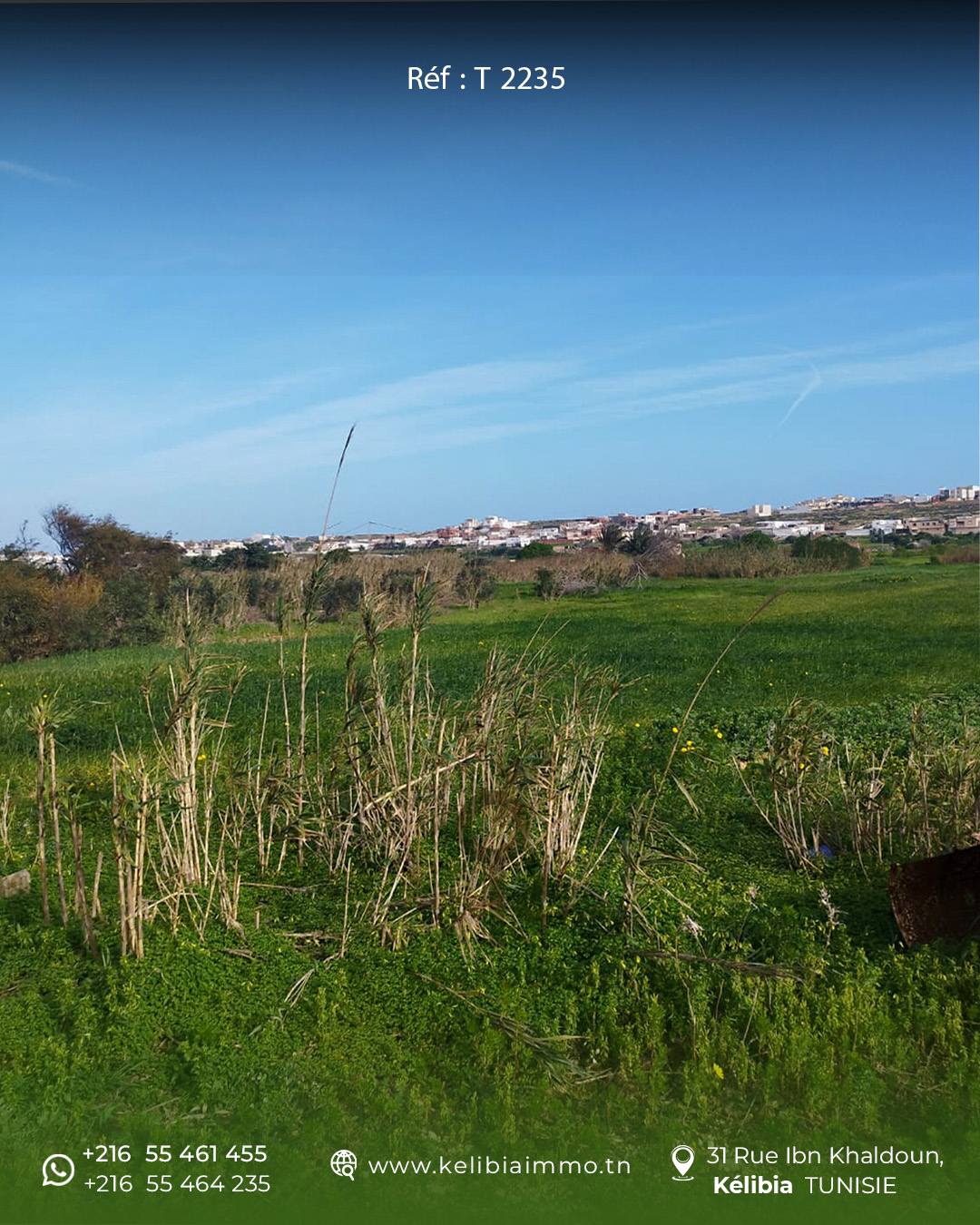 El Haouaria&nbsp;El Haouaria&nbsp;Terrain&nbsp;Terrain agricole&nbsp;Terrain d'un hectare  � el haouaria