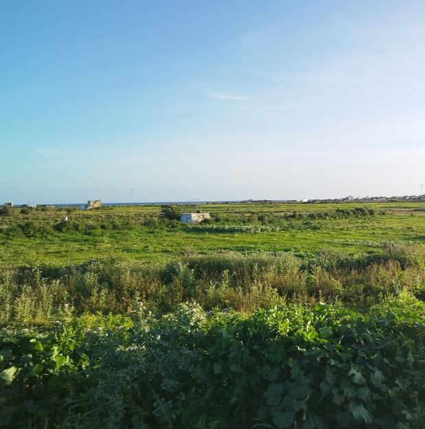 Kelibia&nbsp;Kelibia&nbsp;Terrain&nbsp;Terrain nu&nbsp;Terrainavec vue sur mer � kelibia