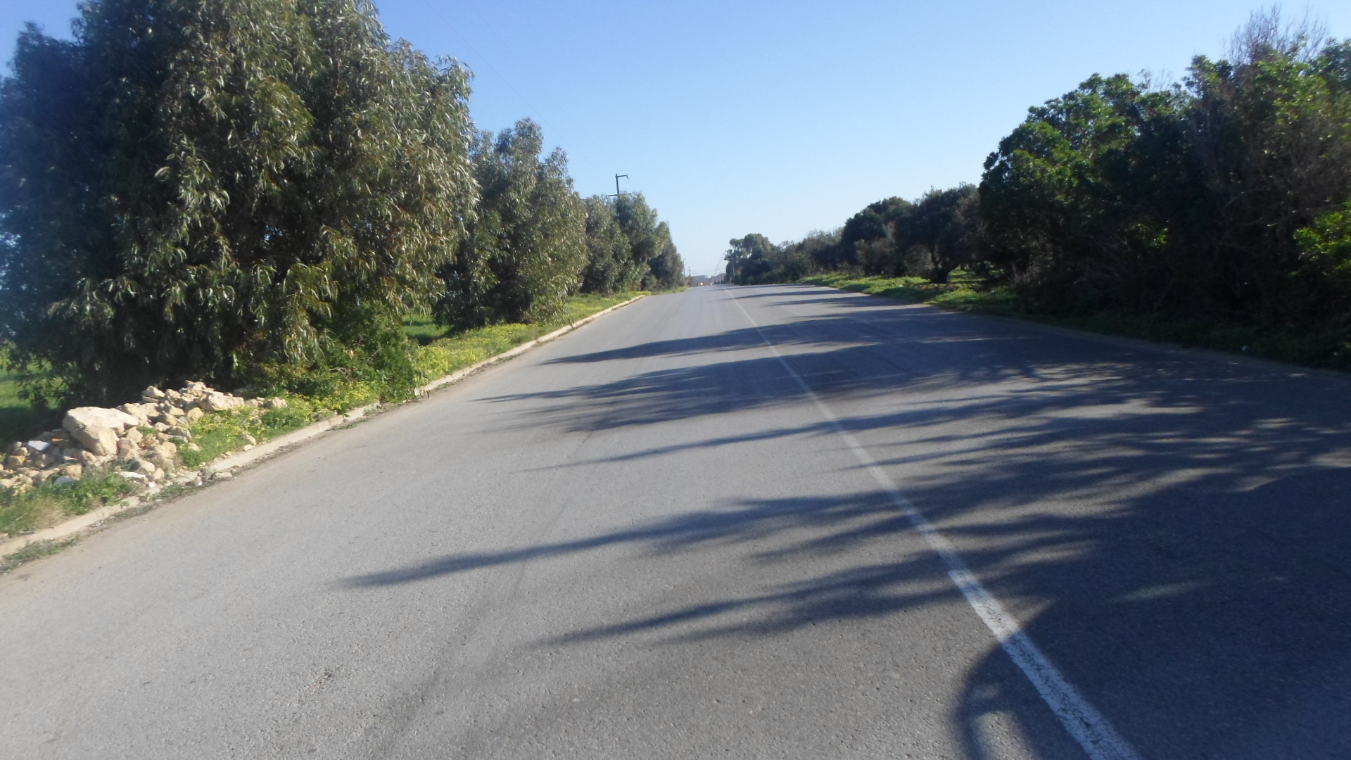 Hammam El Ghezaz&nbsp;Hammam El Ghezaz&nbsp;Terrain&nbsp;Terrain nu&nbsp;Terrain sur la route principale � hammem el ghzez