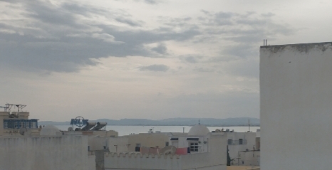 Hammamet&nbsp;Hammamet&nbsp;Location vacances&nbsp;Appart. 1 pi�ce&nbsp;Appartement s1