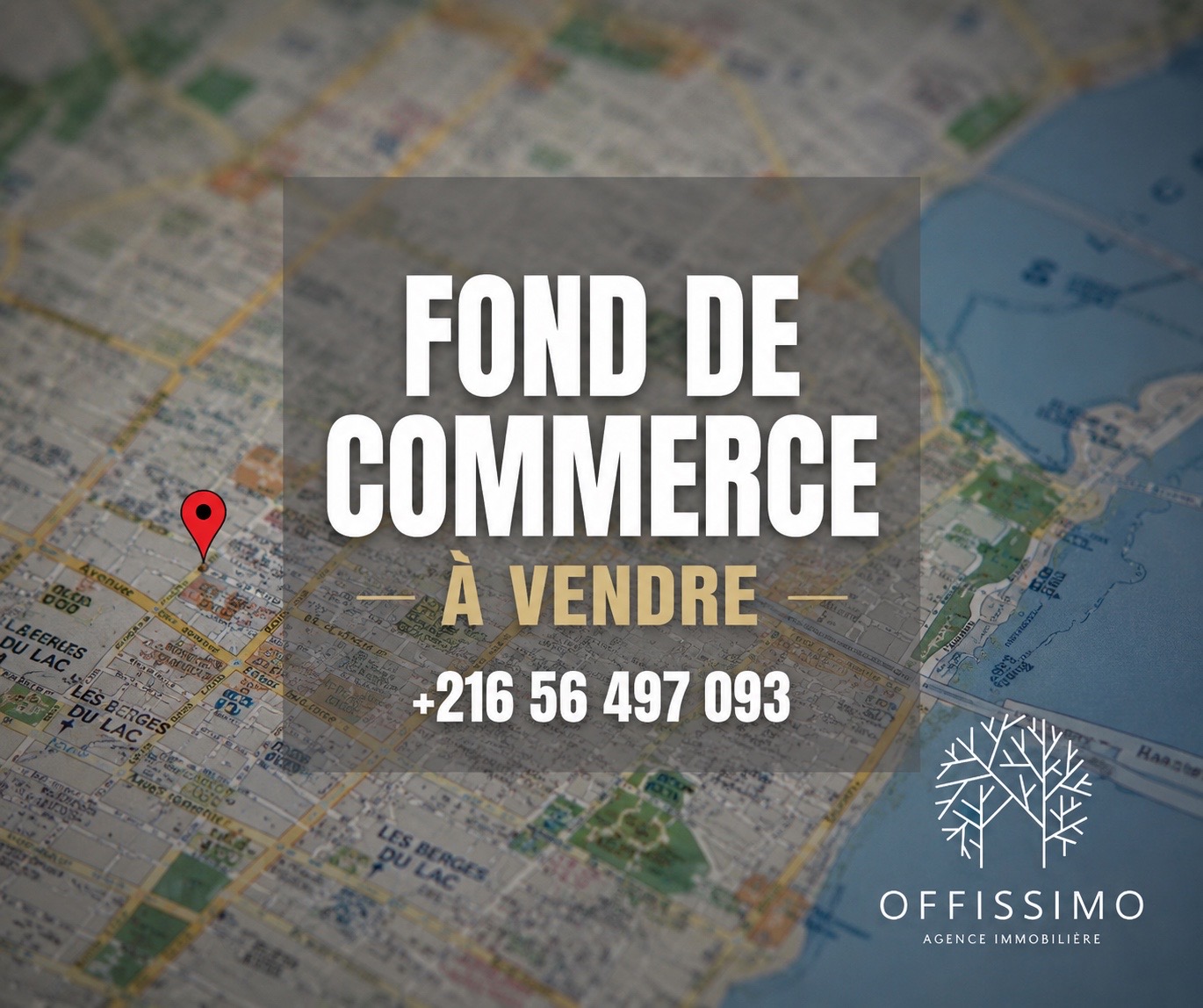 La Marsa&nbsp;Berge Du Lac&nbsp;Vente&nbsp;Autre&nbsp;Fond de commerce aux berges du lac 2