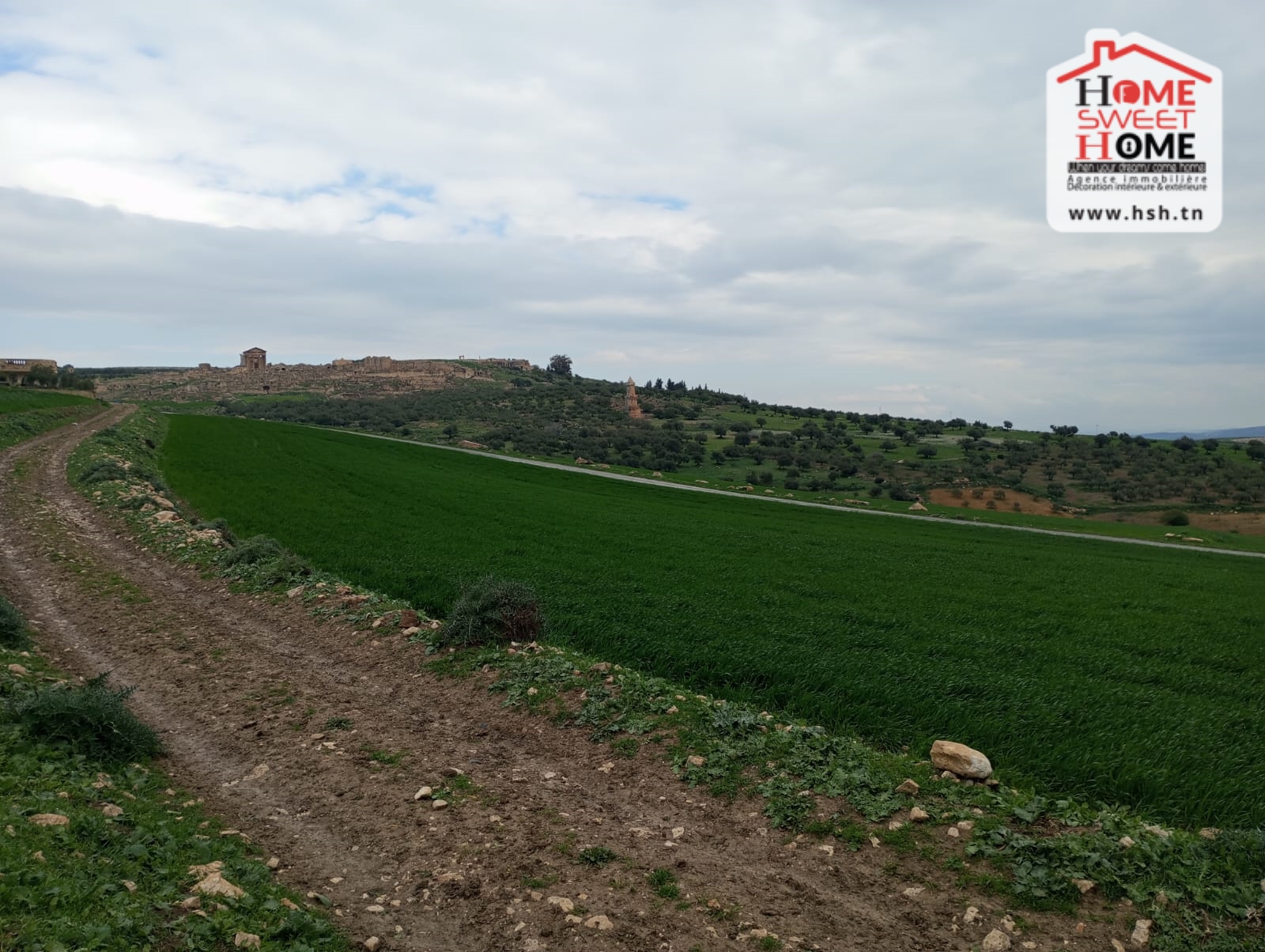 Beja Nord&nbsp;Beja&nbsp;Terrain&nbsp;Terrain agricole&nbsp;Terrain agricole aude � dougga
