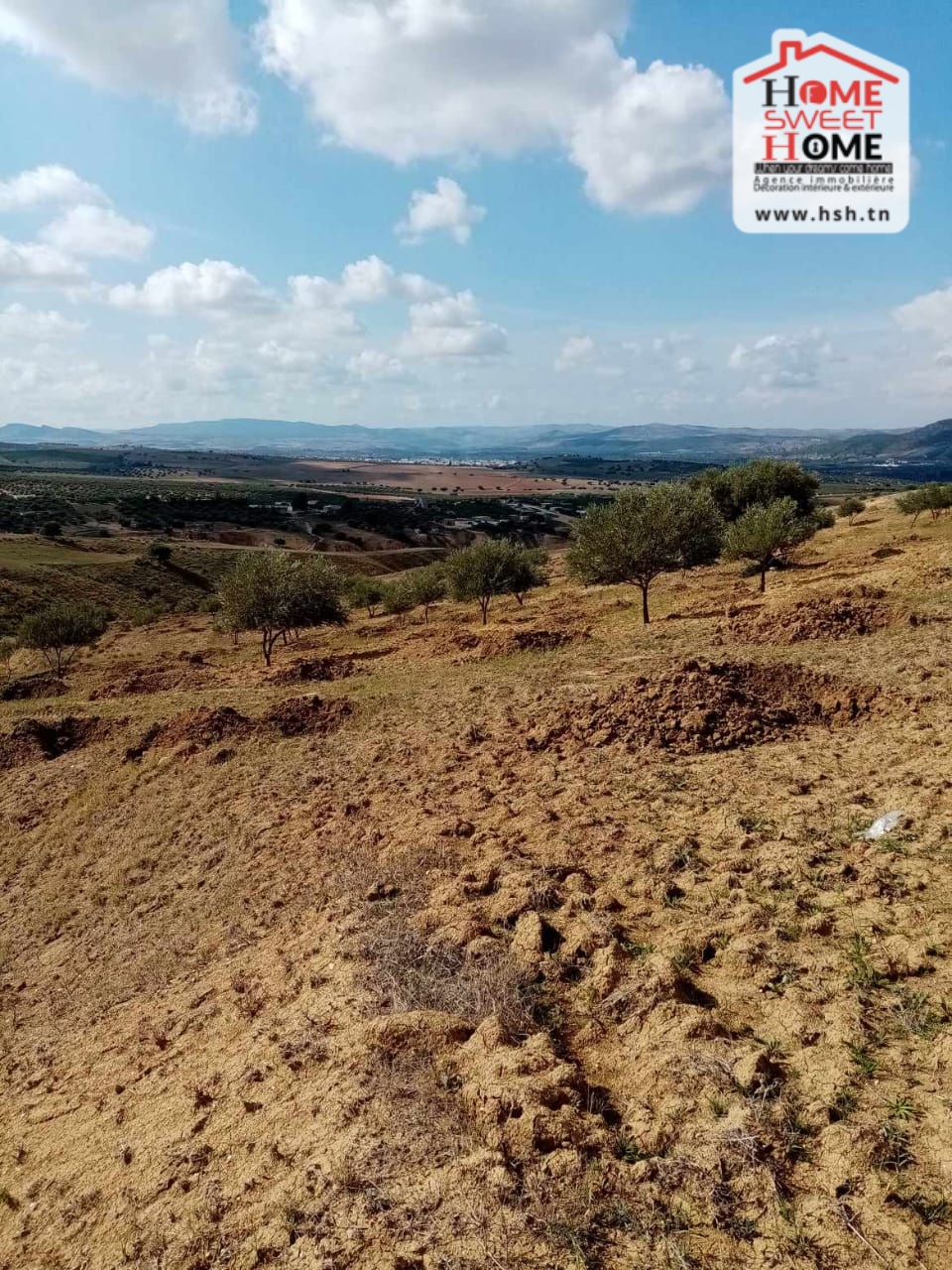 Testour&nbsp;Testour&nbsp;Terrain&nbsp;Terrain agricole&nbsp;Terrain agricole el molk � tastour