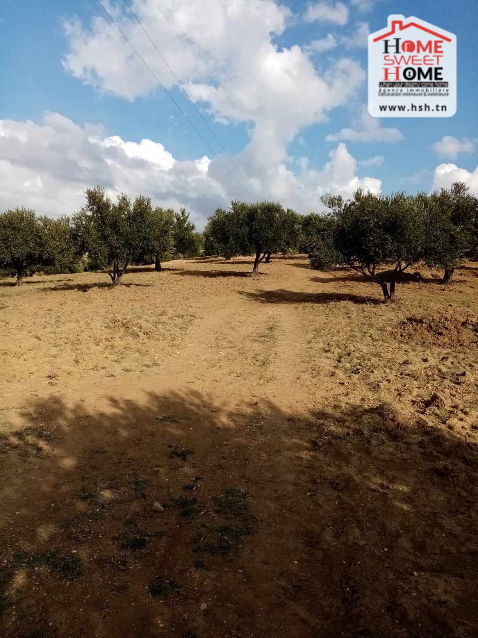 Testour&nbsp;Testour&nbsp;Terrain&nbsp;Terrain agricole&nbsp;Terrain agricole el molk � tastour