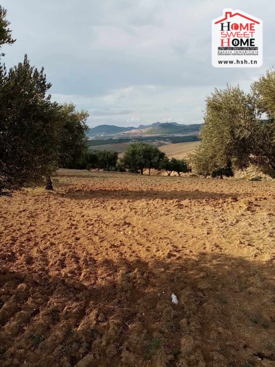 Testour&nbsp;Testour&nbsp;Terrain&nbsp;Terrain agricole&nbsp;Terrain agricole el molk � tastour