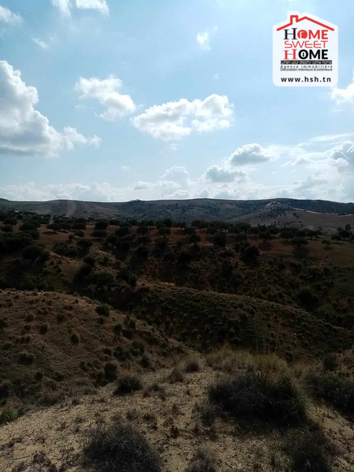 Testour&nbsp;Testour&nbsp;Terrain&nbsp;Terrain agricole&nbsp;Terrain agricole el molk � tastour