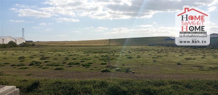 Mornaguia&nbsp;Mornaguia&nbsp;Terrain&nbsp;Terrain agricole&nbsp;Terrain agricole mornagreen � mornaguia