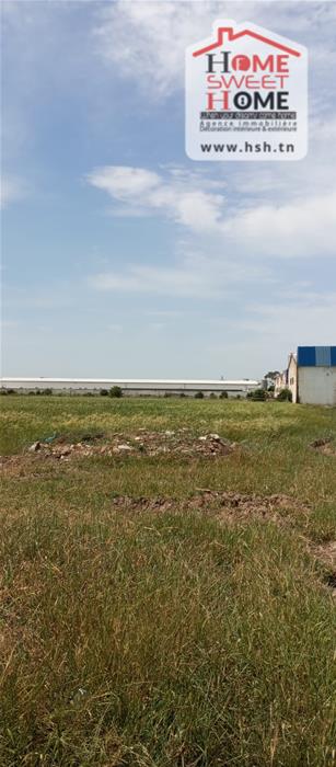 Mornaguia&nbsp;Mornaguia&nbsp;Terrain&nbsp;Terrain agricole&nbsp;Terrain agricole indova � mornaguia