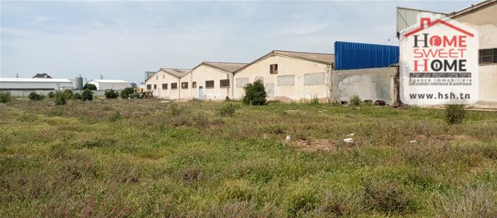 Mornaguia&nbsp;Mornaguia&nbsp;Terrain&nbsp;Terrain agricole&nbsp;Terrain agricole indova � mornaguia