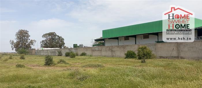 Mornaguia&nbsp;Mornaguia&nbsp;Terrain&nbsp;Terrain agricole&nbsp;Terrain agricole indova � mornaguia