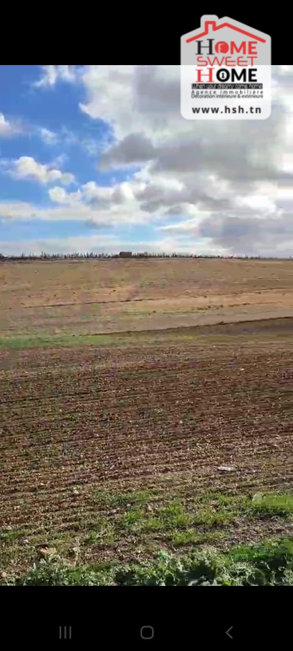 Le Kef Est&nbsp;Le Kef&nbsp;Terrain&nbsp;Terrain agricole&nbsp;Terrain agricole haiza � kef