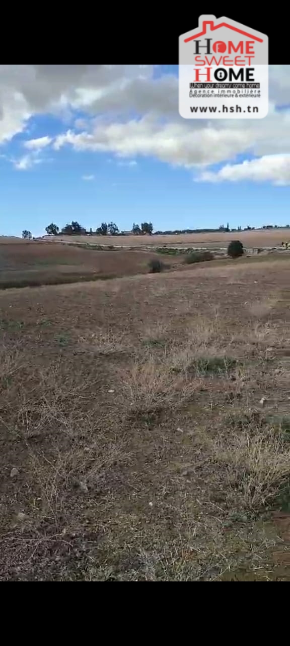Le Kef Est&nbsp;Le Kef&nbsp;Terrain&nbsp;Terrain agricole&nbsp;Terrain agricole haiza � kef