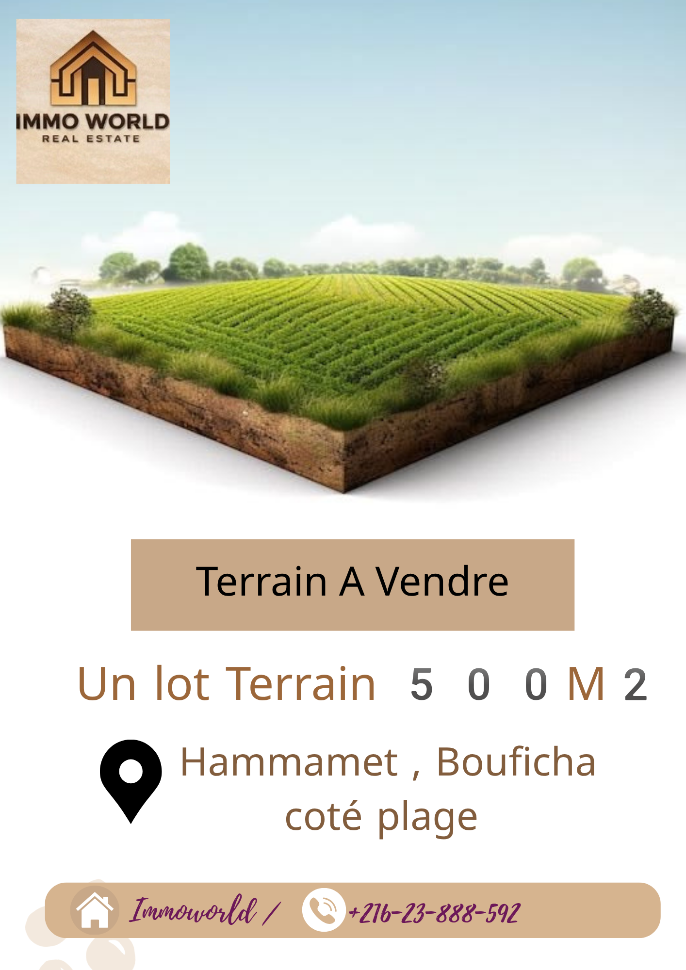 Hammamet&nbsp;Hammamet&nbsp;Terrain&nbsp;Terrain nu&nbsp;Terrain hammamet bouficha