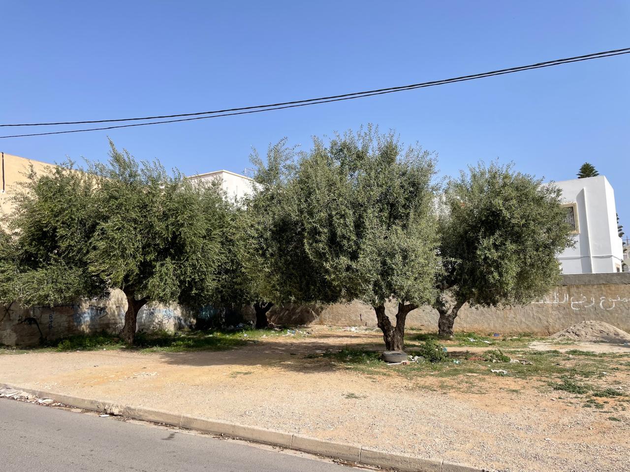 Sousse Jaouhara&nbsp;Sahloul&nbsp;Terrain&nbsp;Terrain nu&nbsp;Terrain sousse