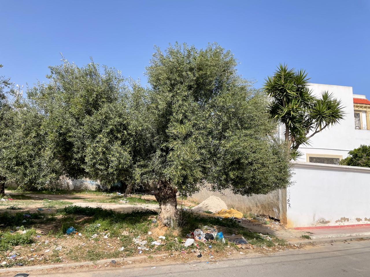 Sousse Jaouhara&nbsp;Sahloul&nbsp;Terrain&nbsp;Terrain nu&nbsp;Terrain sousse