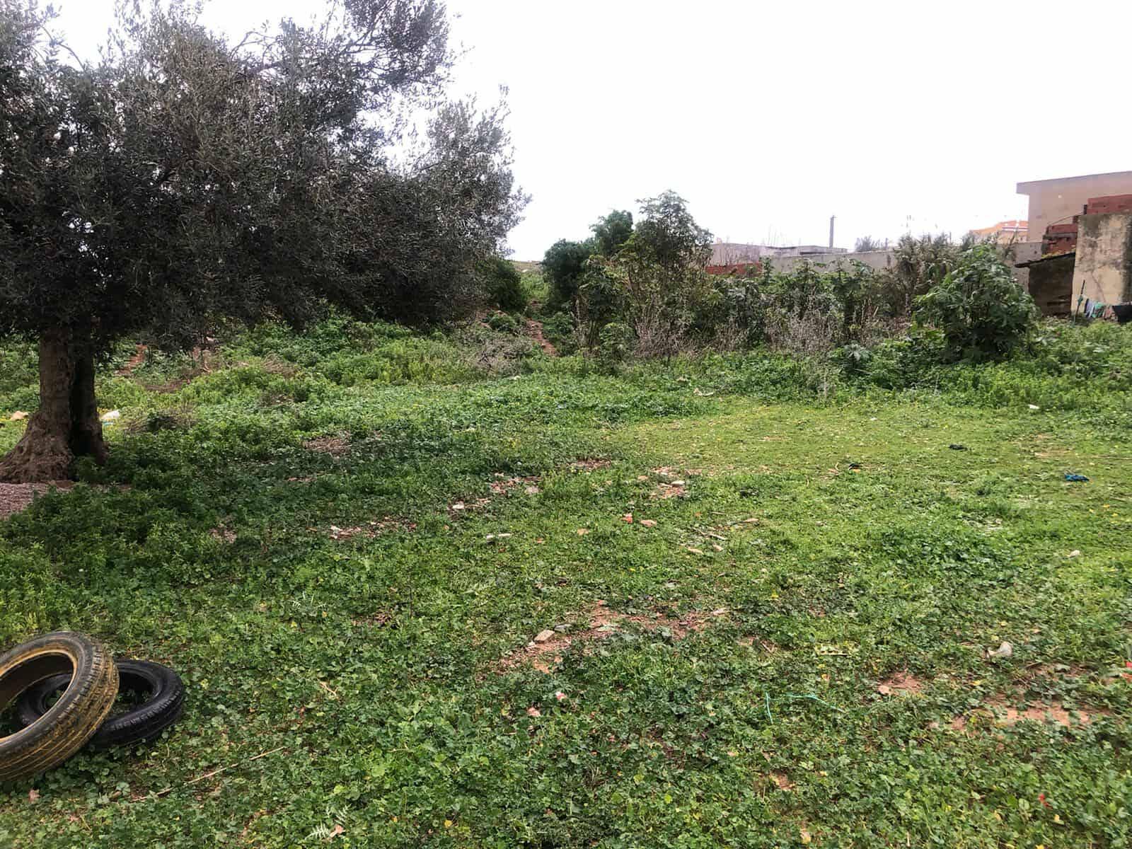 Kelibia&nbsp;Kelibia&nbsp;Terrain&nbsp;Terrain nu&nbsp;Des terains a tamezrat k�libia