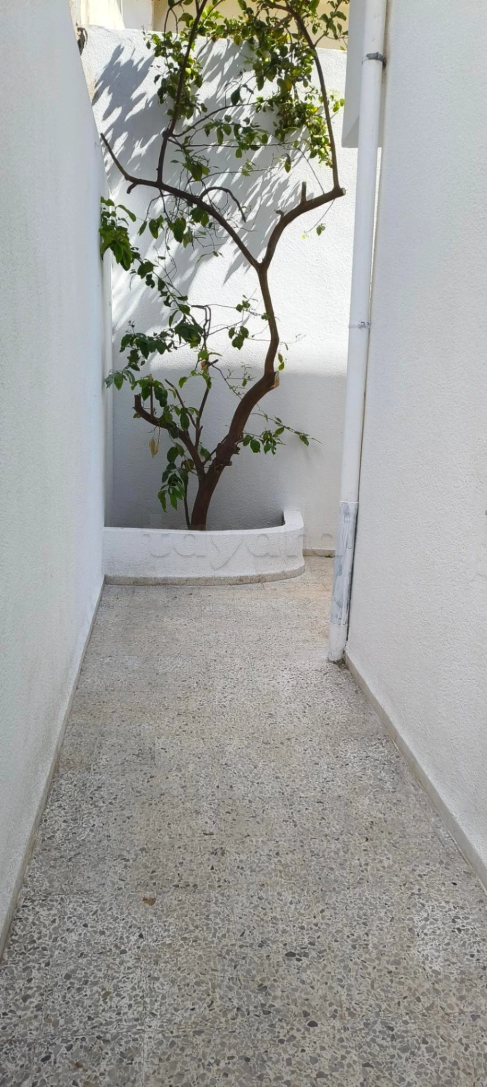 Bizerte Nord&nbsp;Bizerte&nbsp;Location&nbsp;Appart. 3 pi�ces&nbsp;Appartement au rdc �hay hana bizerte