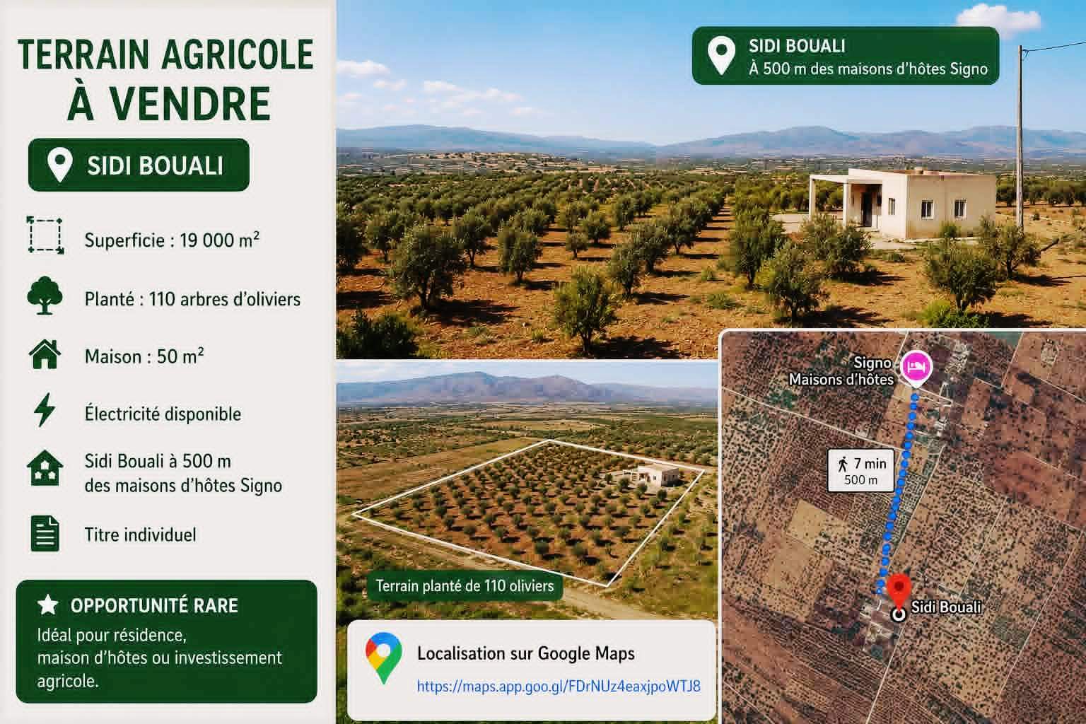 Sidi Bou Ali&nbsp;Sidi Bou Ali&nbsp;Terrain&nbsp;Terrain agricole&nbsp;Terrain 19000m � 500m des maisons dh�tes signo