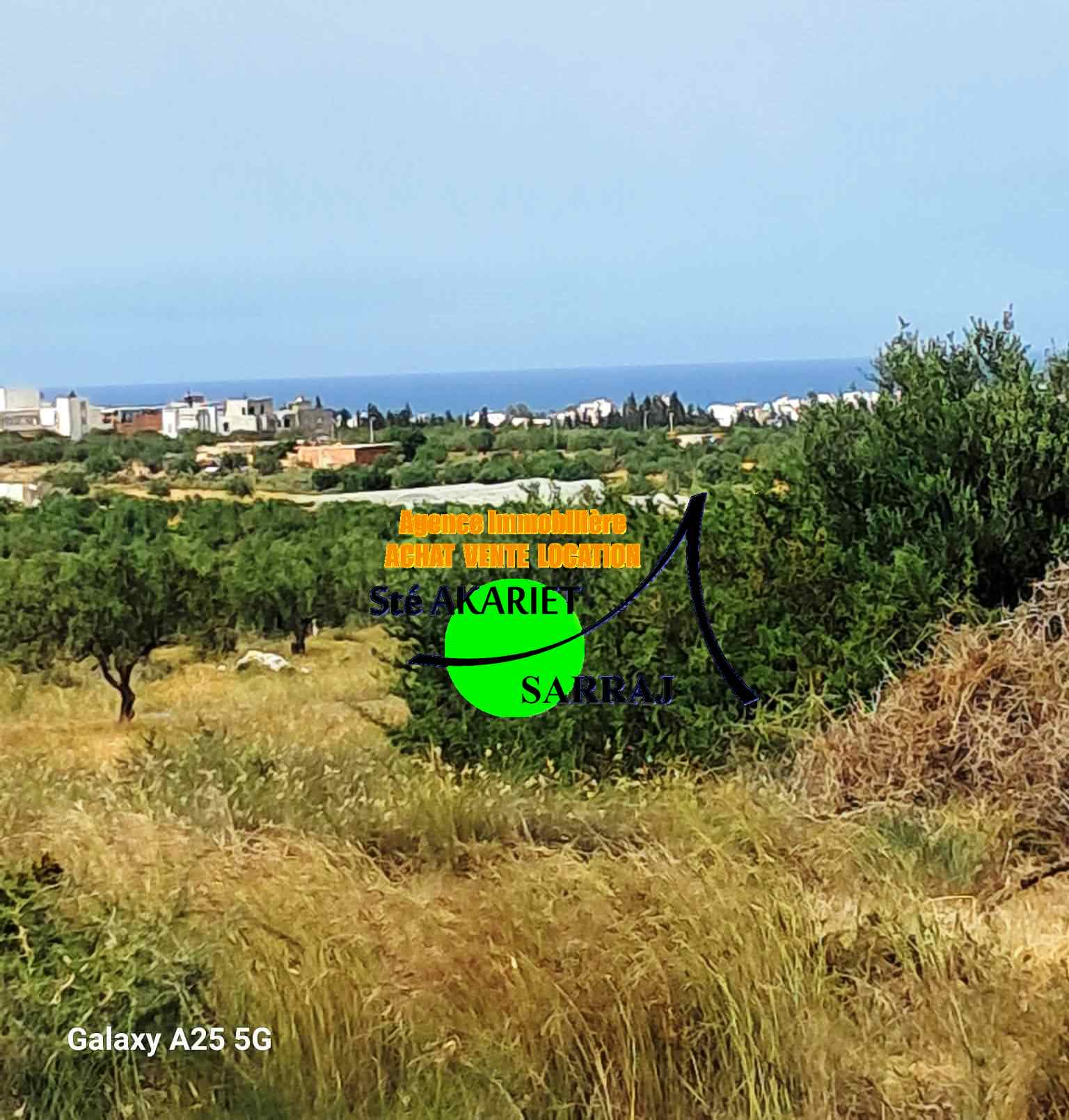 Akouda&nbsp;Chatt Meriem&nbsp;Terrain&nbsp;Terrain agricole&nbsp;Terrain d'investisement 3583m � koussour gharnata
