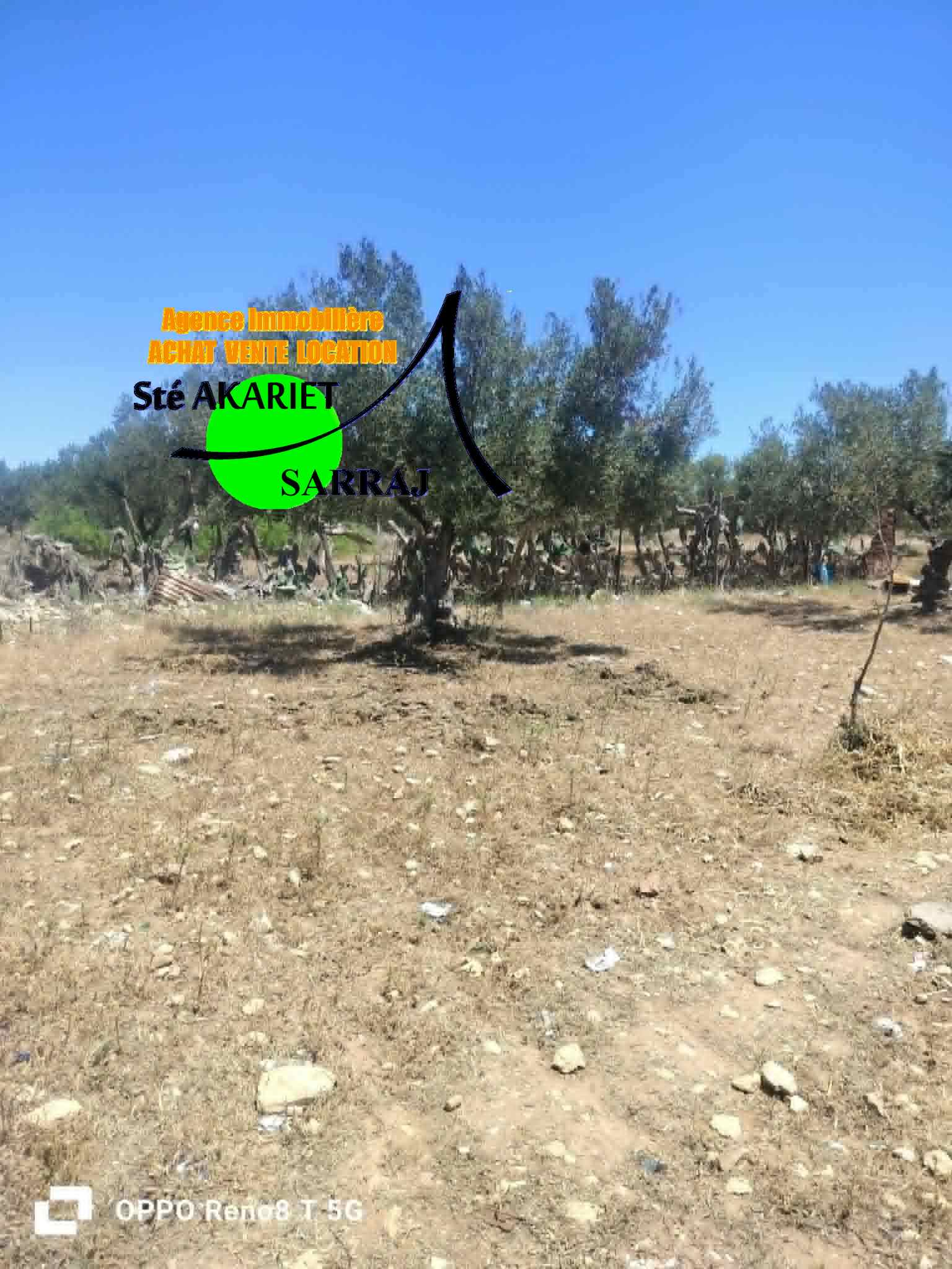 Hergla&nbsp;Hergla&nbsp;Terrain&nbsp;Terrain agricole&nbsp;Terrain titr� 401m pr�s de park karting hergla