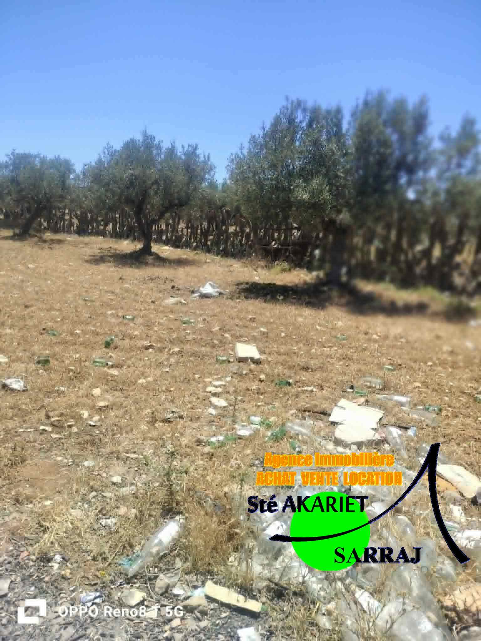 Hergla&nbsp;Hergla&nbsp;Terrain&nbsp;Terrain agricole&nbsp;Terrain titr� 401m pr�s de park karting hergla