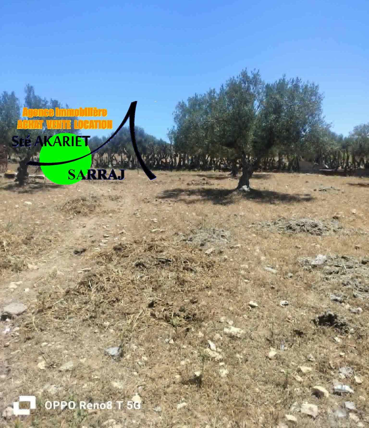 Hergla&nbsp;Hergla&nbsp;Terrain&nbsp;Terrain agricole&nbsp;Terrain titr� 401m pr�s de park karting hergla