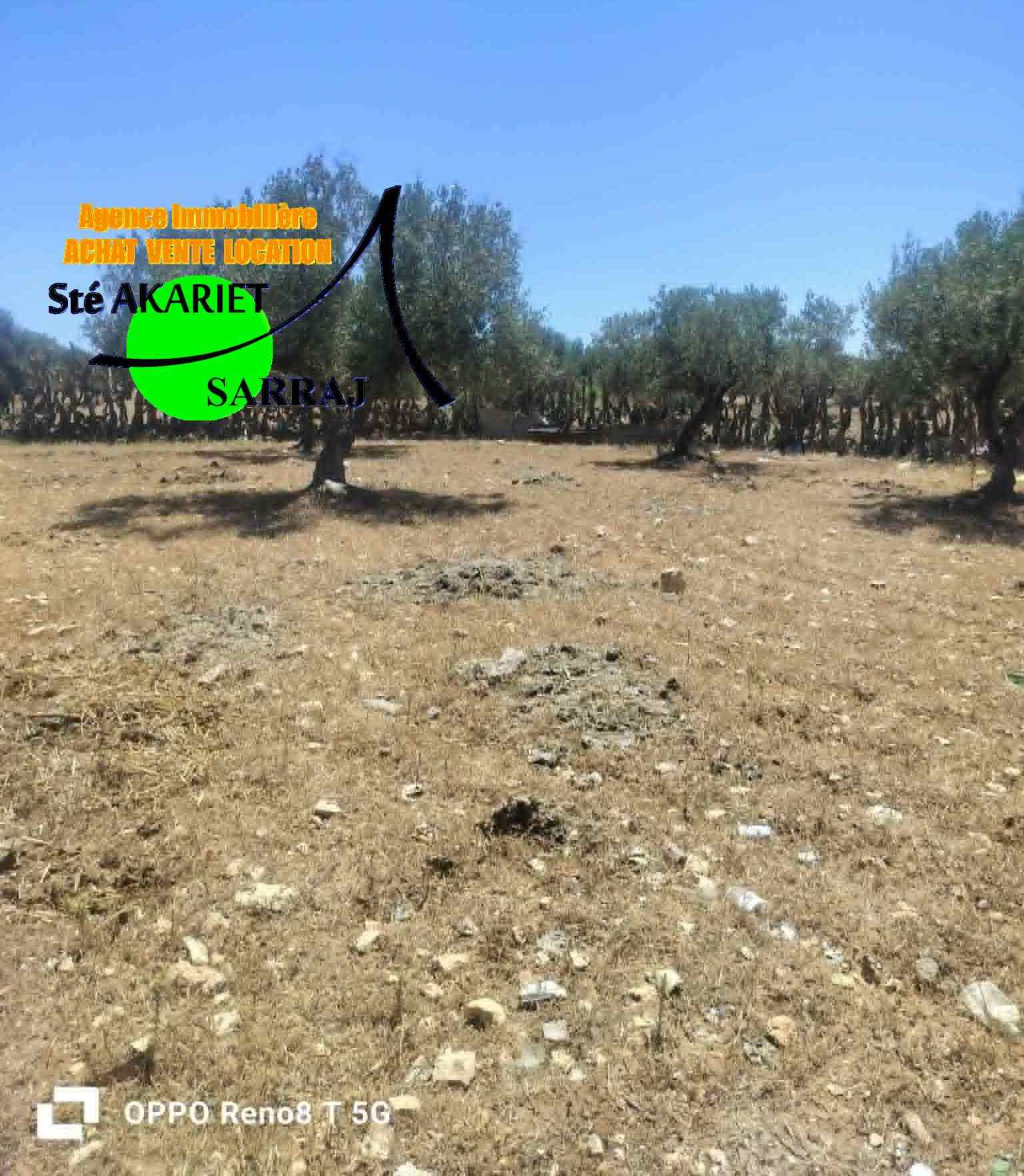 Hergla&nbsp;Hergla&nbsp;Terrain&nbsp;Terrain agricole&nbsp;Terrain titr� 401m pr�s de park karting hergla