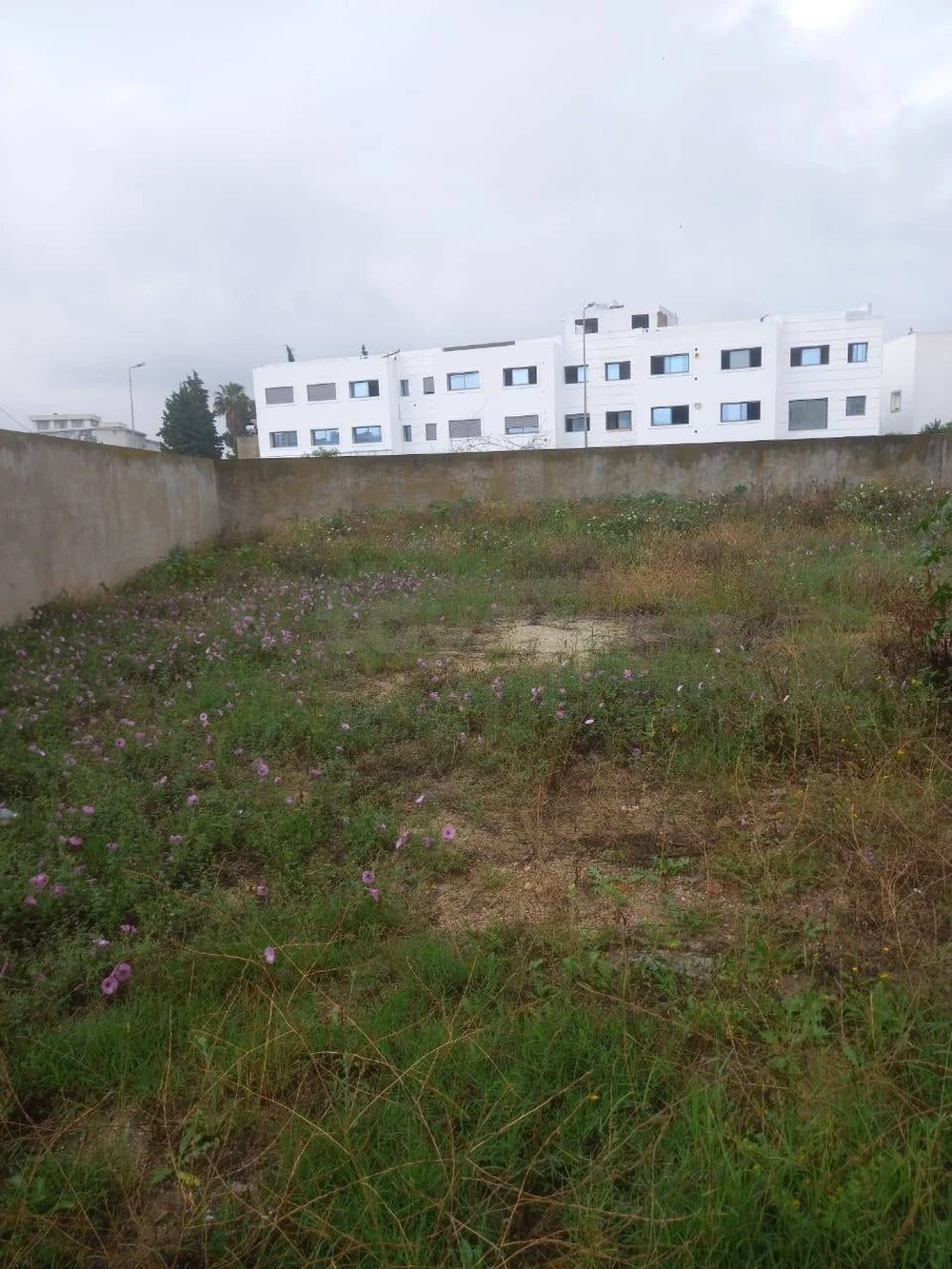 Raoued&nbsp;Cite El Ghazala 1&nbsp;Terrain&nbsp;Terrain nu&nbsp;Terrain cite elghazala