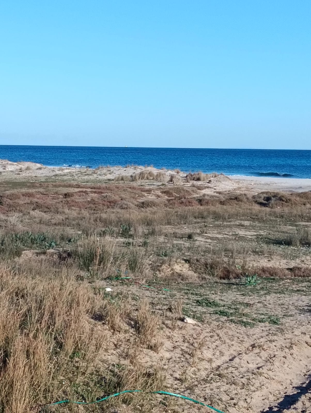 Menzel Temime&nbsp;Menzel Horr&nbsp;Terrain&nbsp;Terrain nu&nbsp;Des terrains � menzel elhor nabeul