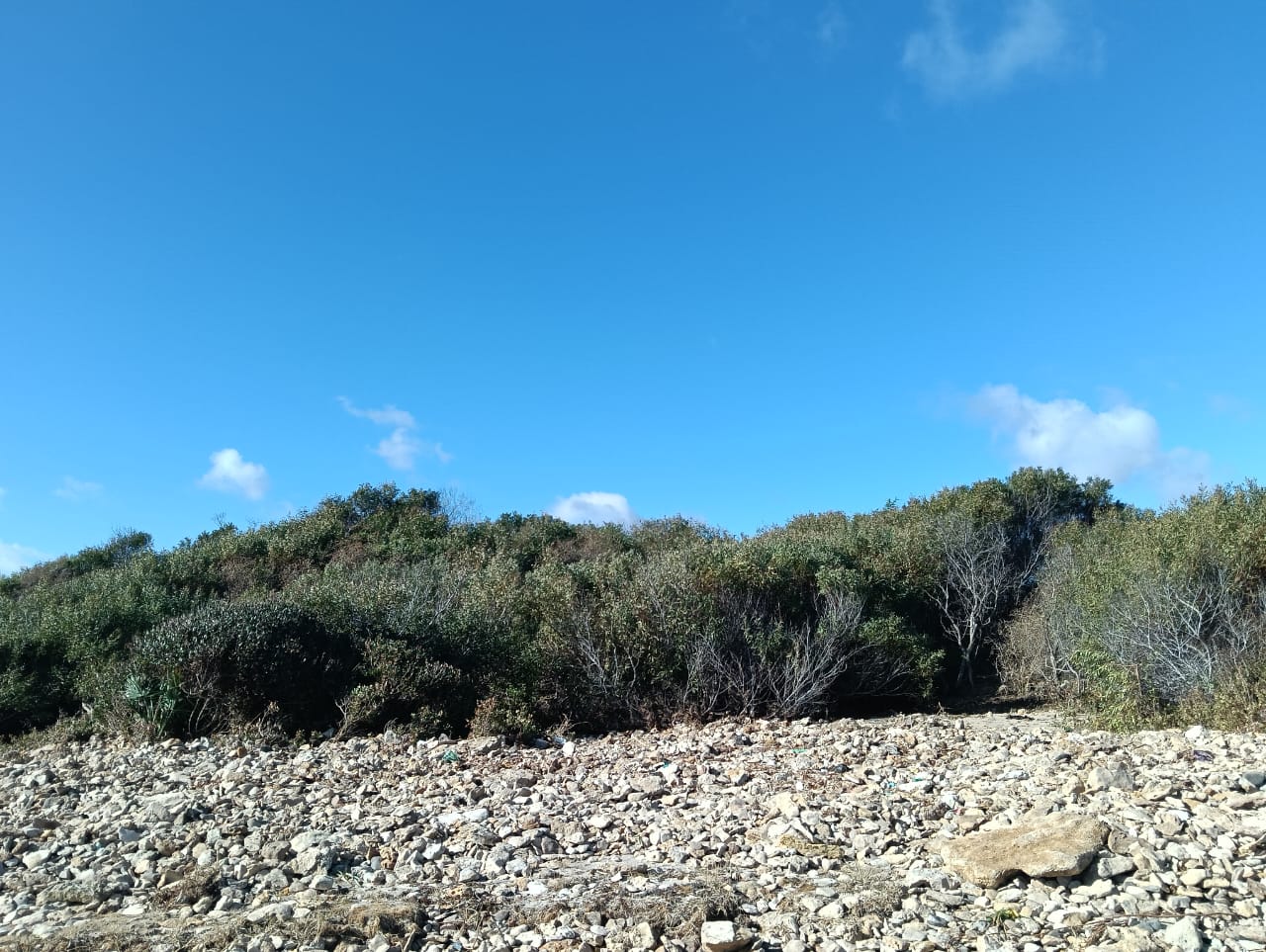 Kelibia&nbsp;Kerkouane&nbsp;Terrain&nbsp;Terrain nu&nbsp;Kerkouen k�libia