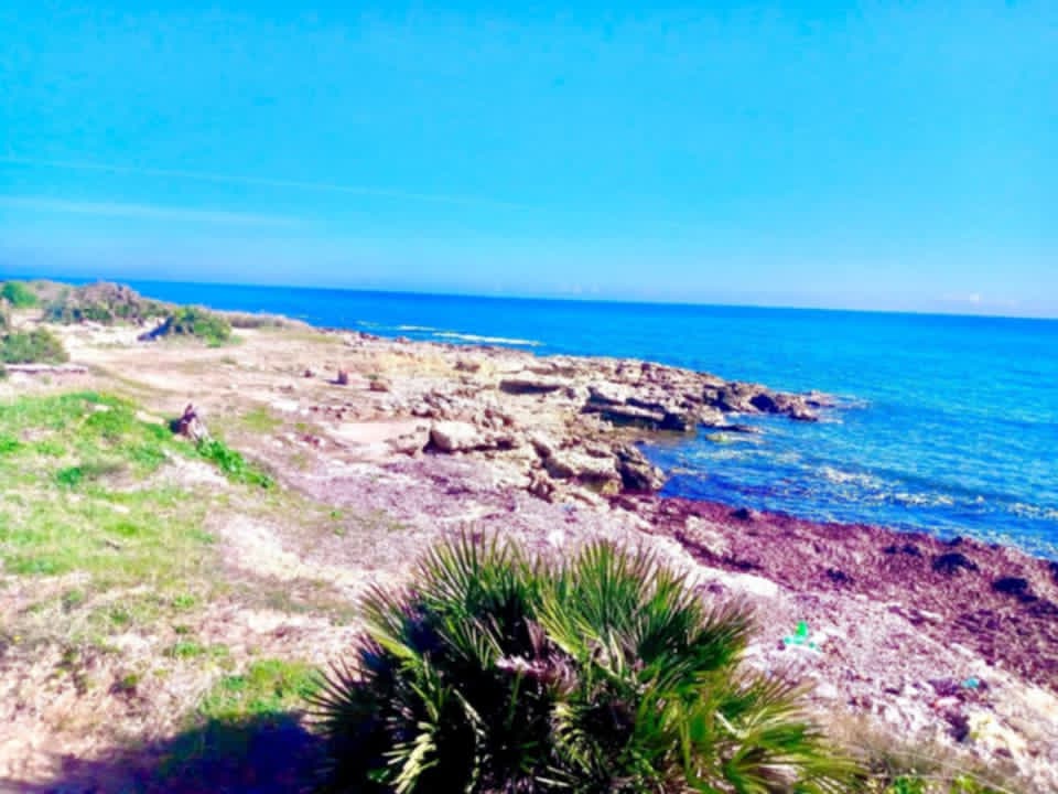 Kelibia&nbsp;Kerkouane&nbsp;Terrain&nbsp;Terrain nu&nbsp;Kerkouen nozha