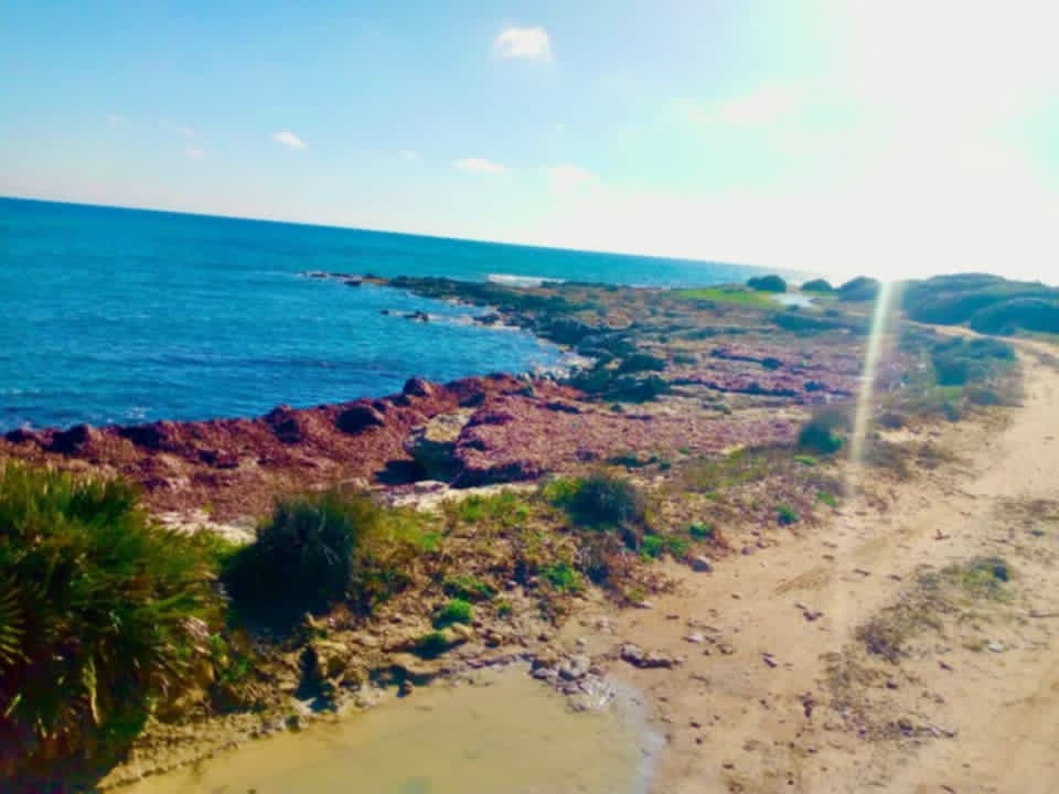 Kelibia&nbsp;Kerkouane&nbsp;Terrain&nbsp;Terrain nu&nbsp;Kerkouen nozha