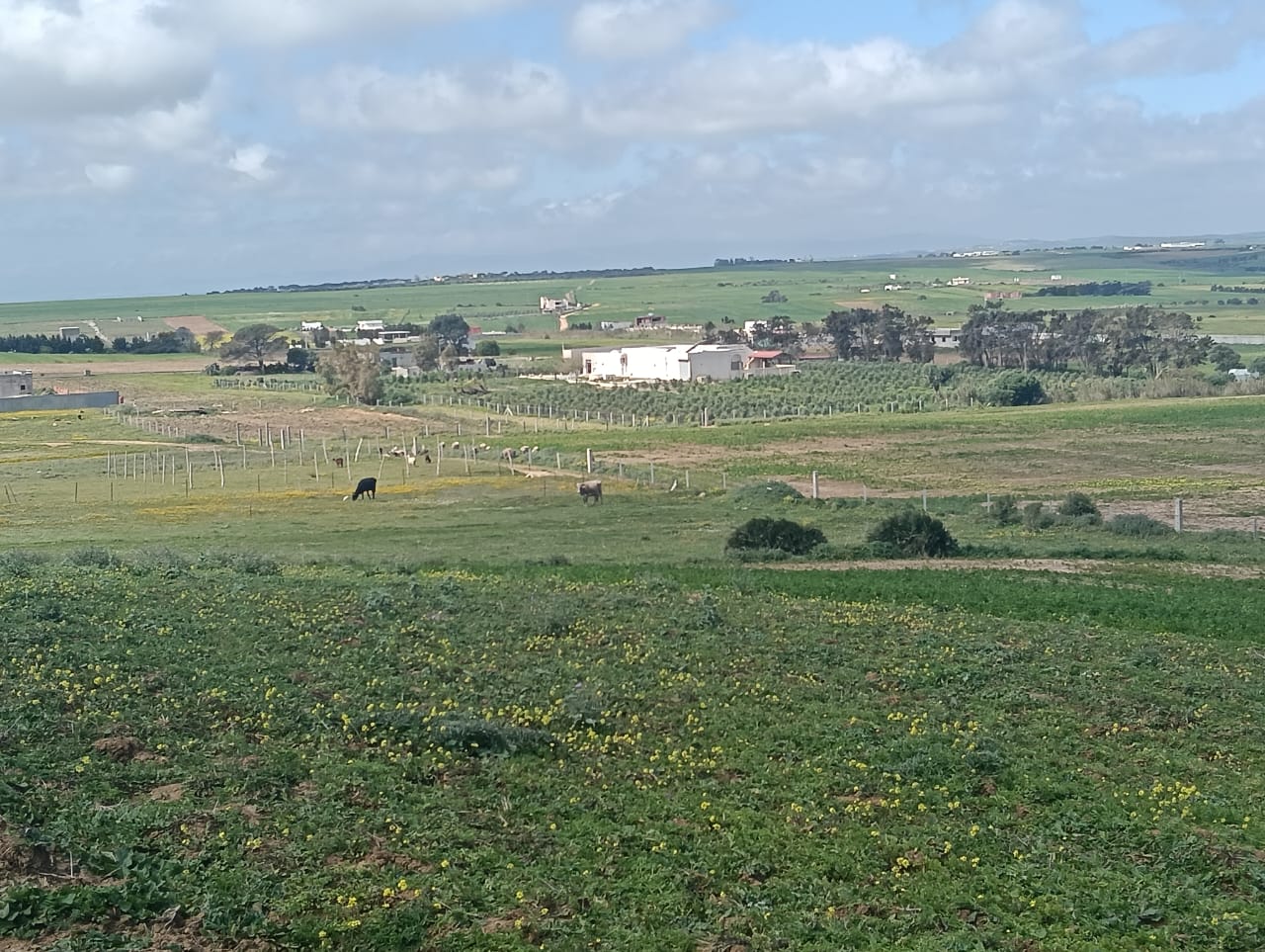 Kelibia&nbsp;Kelibia&nbsp;Terrain&nbsp;Terrain nu&nbsp;Terrain a tamezrat kl�bia