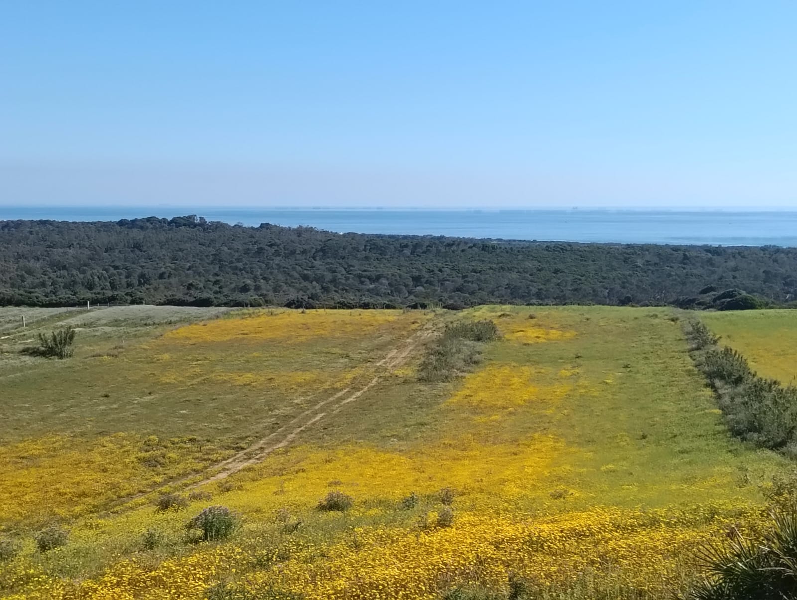 El Haouaria&nbsp;El Haouaria&nbsp;Terrain&nbsp;Terrain nu&nbsp;Vue mer � tamezrat
