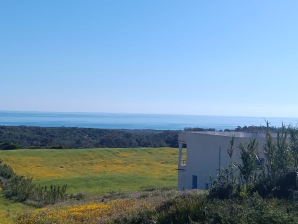 Kelibia&nbsp;Kelibia&nbsp;Terrain&nbsp;Terrain nu&nbsp;Kelibia tamezrat