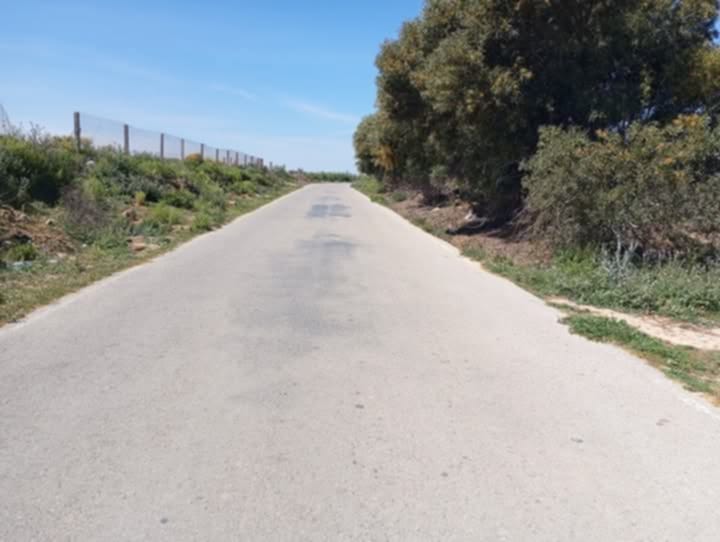 El Haouaria&nbsp;El Haouaria&nbsp;Terrain&nbsp;Terrain nu&nbsp;El haouaria surgaz