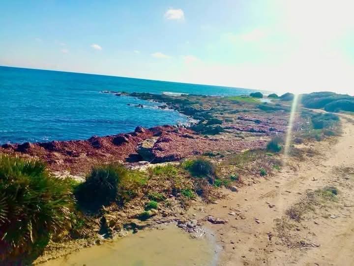 Kelibia&nbsp;Kerkouane&nbsp;Terrain&nbsp;Terrain nu&nbsp;Terrain kerkouen nozha